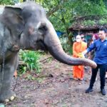 M Afri Rizki Lubis Kunjungi Medan Zoo, Potensi Tambah PAD Lewat Promosi