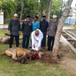 Plt Wali Kota Tanjungbalai Laksanakan Pemotongan Hewan Kurban