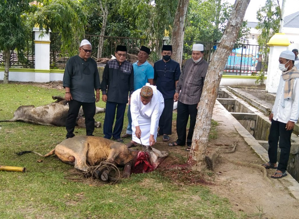 Plt Wali Kota Tanjungbalai Laksanakan Pemotongan Hewan Kurban