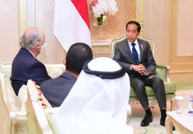 Presiden Jokowi Bertemu Pengusaha PEA, Berikut Empat Poin Pembicaraan