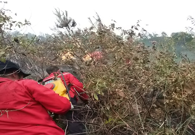 Tidak Ada Korban Jiwa, Karhutla di Karo Hanguskan 10 Hektar Lahan