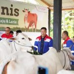 Elnusa Petrofin Resmikan Program CSR “Si Manis”