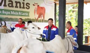 Elnusa Petrofin Resmikan Program CSR “Si Manis”